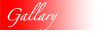 menu_gallary